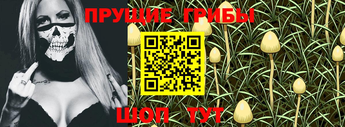 Галлюциногенные грибы MAGIC MUSHROOMS  продажа наркотиков  Вход с VPN  Пыть-Ях  Псилоцибиновые грибы Magic Shrooms 
